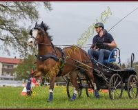 2POSIEUX 0393